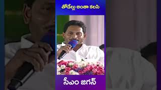 ys jagan | tdp nara lokesh