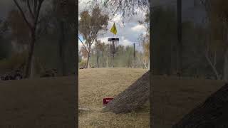 Calvin Heimburg nails a huge putt for birdie #discgolf