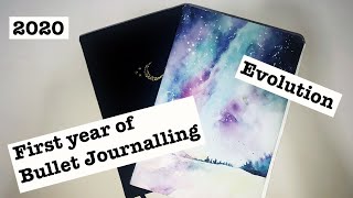 2020 Bullet Journal Look back - themes, spread ideas and more! (FIrst year) | Sachika Bhojani