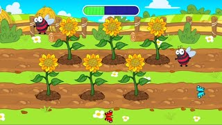 Proses Menanam Bunga Matahari Menghasilkan Kuaci - game tanaman anak