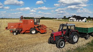 Żniwa 2019 | BIZON Z-056 | URSUS 914 | MF 5465 | ZETOR | czyli koszenie pszenicy i zbiór słomy :)