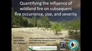 The Ability of Wildfire to Act as a Fuel Treatment