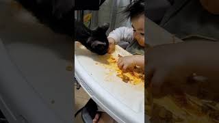 Cat and a baby sharing spaghetti