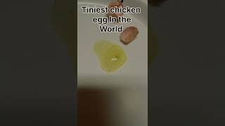 That’s a small egg 🥚 #egg #chickens #viral #tiny #fyp #shorts #youtube #youtubeshorts  #nostalgia