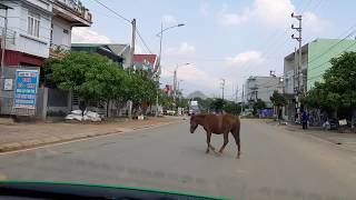 Đường phố TP Lai Châu, tuyến đường từ KS Mường Thanh ra đến Công ty Điện lực tỉnh!