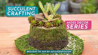 Succulent Craft Kit Guide: The Cowboy Hat