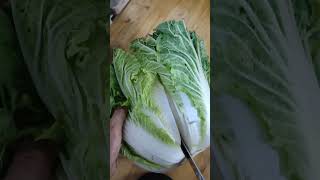 CUTTING PECHAY BAGUIO INTO HALF #shorts #asmr #satisfying