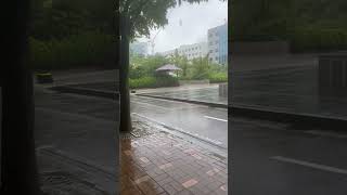 Heavy rain in South Korea