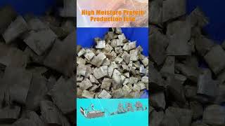 Textured Vegetable Protein Production Line/Fibrated Textured Protein Production Line #shorts