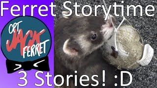 Ferret Storytime: 3 Funny Stories About Me and My Ferrets