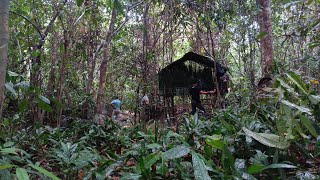 BARMALAM DIHUTAN KALIMANTAN SAMBIL MANCING | DITERPA HUJAN DERAS MALAM HARI