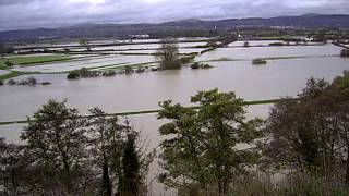 River Elwy In flood .