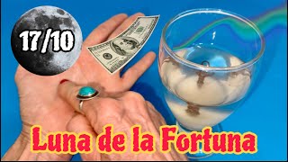 Luna Llena de la Fortuna 🌝 Atrae dinero, abundancia y prosperidad💰🍀 #ritual #dinero  #abundancia