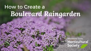 How to Create a Boulevard Rain Garden