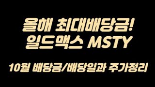 올해 최대배당금! MSTY 10월 배당금/배당일과 주가정리