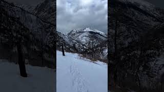 Cub Lake - Hiking Rocky Mountain National Park (RMNP) #shorts