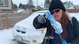 Snow Canada - Fort Langley