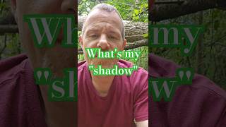 What is the shadow personality? #short #shorts #shadowwork #shadow #shadowme #spirituality #Franck