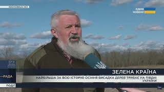 На півдні України триває найбільша за всю історію висадка лісів