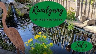 Natur im (Klein) Garten - Teil 3 - Rundgang am 25.04.2021