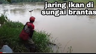 jaring ikan di sungai brantas