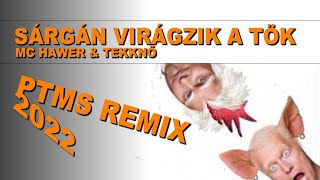 Mc Hawer és Tekknő - Sárgán virágzik a tök (PTMS REMIX 2022)