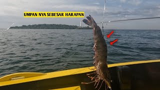 upan besar target ikan besar | udang taiger babon