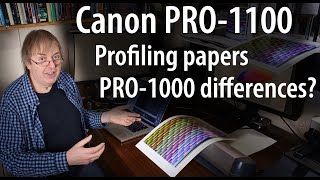 Canon PRO-1100 vs PRO-1000. Printer profiling. Are the inks really that different? Will you notice?