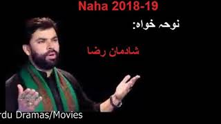 Shadaman Raza | Ali(as) Un Wali Ullah | Urdu Noha 2018-19