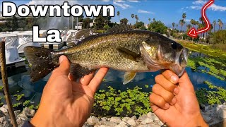 Downtown la fishing echo park (new gopro)