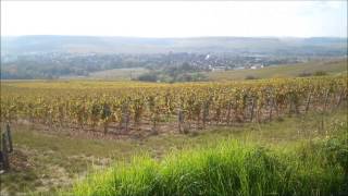 Nick's Wine Journal - Chablis, France