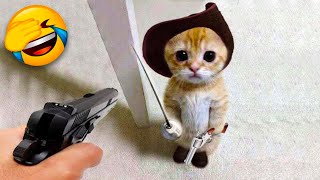 Cats and Dogs funny videos | Funny cat wearing a cowboy hat 😹