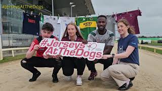 Jerseys At The Dogs 2024 Launch - A Chat With Dan Quirke, Dillon Quirke Foundation