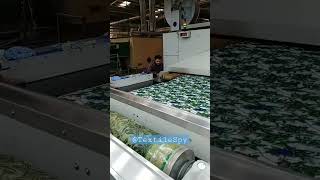 All Over Printing in Impress NewTex Composite Textile Ltd. Bangladesh #shorts #garments #printing