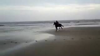 Coppet Hall Beach Ride