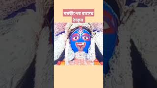 নবদ্বীপের রাসের ঠাকুর। Raspurnima Festival at Nabadwip। #shorts #shortvideo #reels