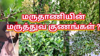 மருதாணியின் மருத்துவ குணங்கள் ? ஓம் நமசிவாய போற்றி போற்றி ஓம் வளை அம்மா போற்றி போற்றி ஓம் நமசிவாய..