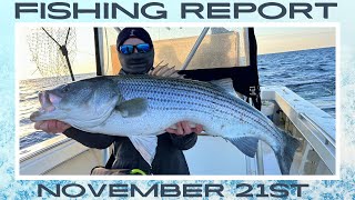 New Jersey Fishing Report November 21st #fishingreport #fishing #stripedbassfishing #stripedbass