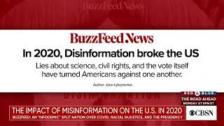 The impact of misinformation on the United States in 2020