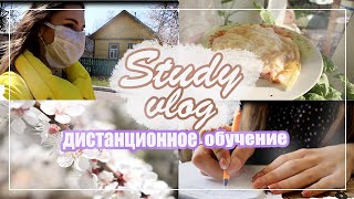 Study Vlog: Дистанционное Обучение//Мой день на карантине