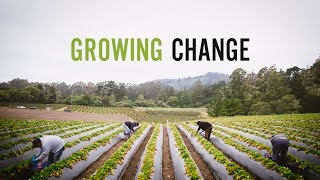 Growing Change