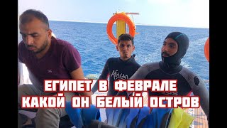 Египет. Белый остров. Сафари. Мое путешествие.