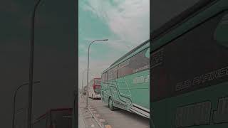 Warna warni Bus SUBUR JAYA #videobusindonesia #suburjaya #busindonesia #shorts