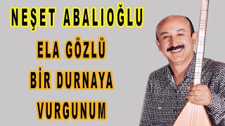 NEŞET ABALIOĞLU Ela gözlü bir durnaya vurgunum