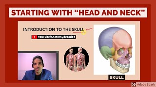 Head and Neck Anatomy | Introduction to the Skull | Anatomy Decoded | Anatomy Lectures