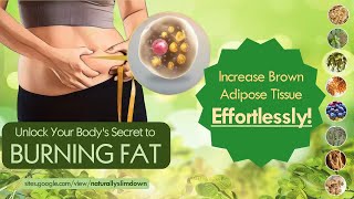 Unlock Your Body's Secret to Burning Fat: Increase Brown Adipose Tissue Effortlessly!