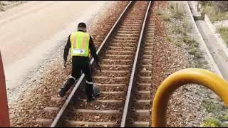 Saving an old turtle from death or being run over in front of a freight train in South Africa#Rescue