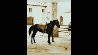 ANTONIO AGUILAR EL CHARRO DE MÉXICO