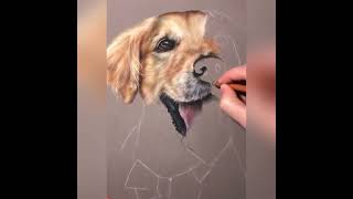 Imagine drawing was that easy 😊#petportrait #art #drawing #pencil #sketch #painting #sketching