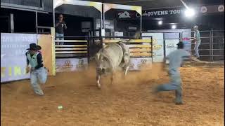 TOURO DE 1 MILHÃO DE REAIS DA CIA JK BUCKING BULLS